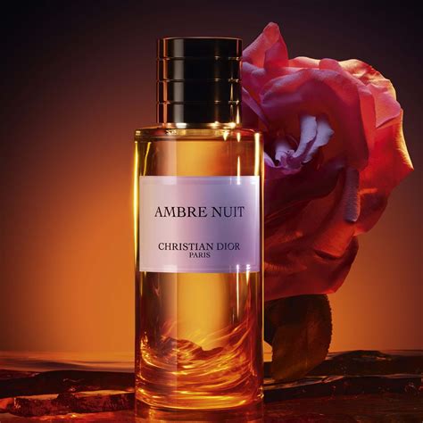 dior ambre nuit perfume price|Buy Ambre Nuit Christian Dior Online Prices .